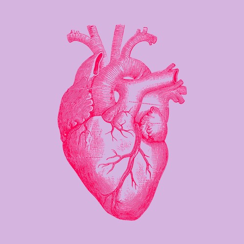 Detail Heart Image Nomer 45