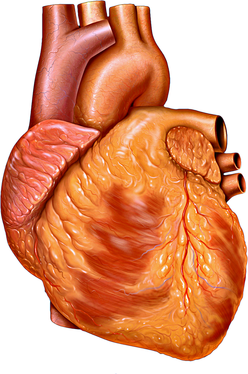 Detail Heart Img Nomer 2