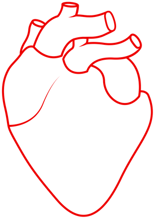 Detail Heart Outline Png Nomer 51