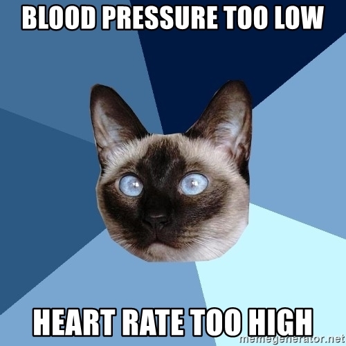 Detail Heart Rate Meme Nomer 30