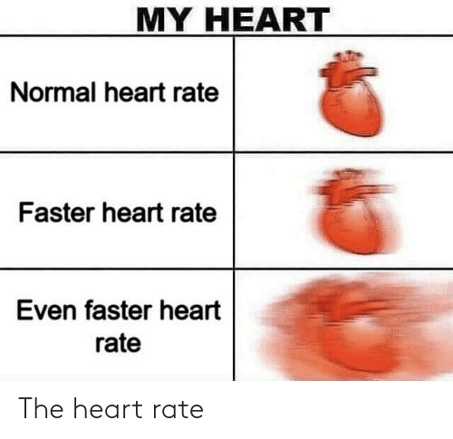 Detail Heart Rate Meme Nomer 37