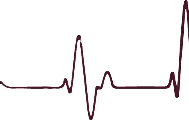 Detail Heart Rate Png Nomer 48