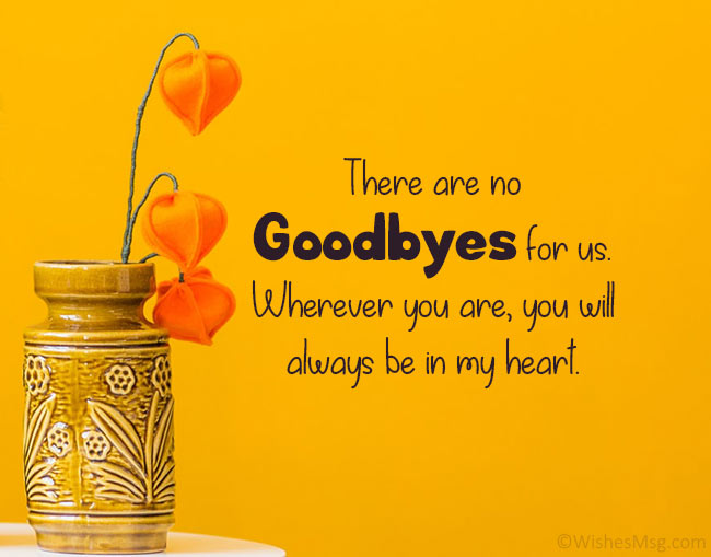 Detail Heart Touching Goodbye Quotes Nomer 12
