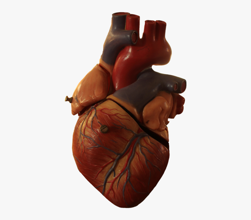 Detail Heart Transparent Nomer 13