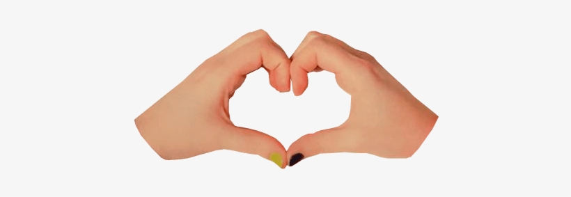 Detail Heart Transparent Background Nomer 45