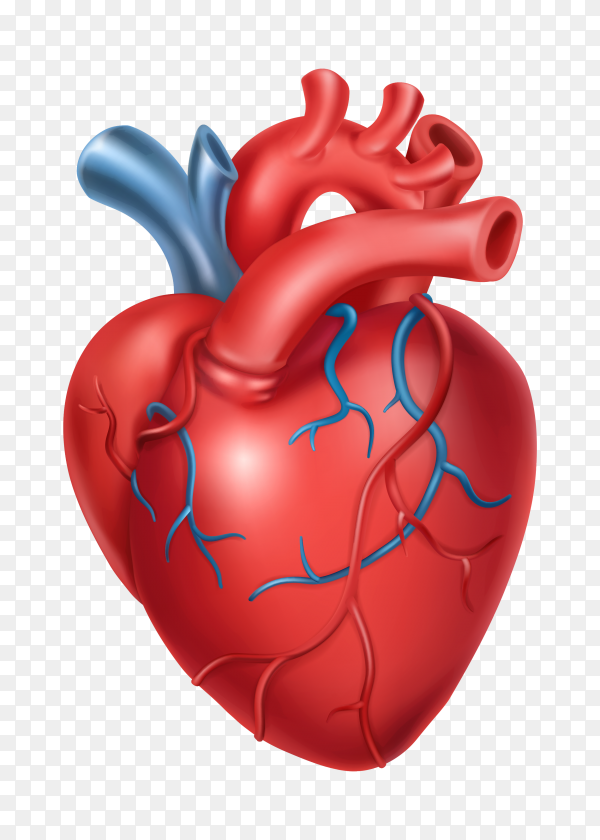 Detail Heart Vector Png Nomer 55