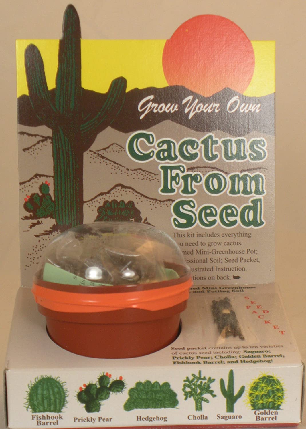 Detail Hedgehog Cactus Seed Nomer 30