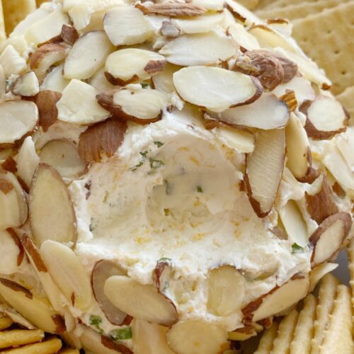 Detail Hedgehog Cheese Ball Pinterest Nomer 26