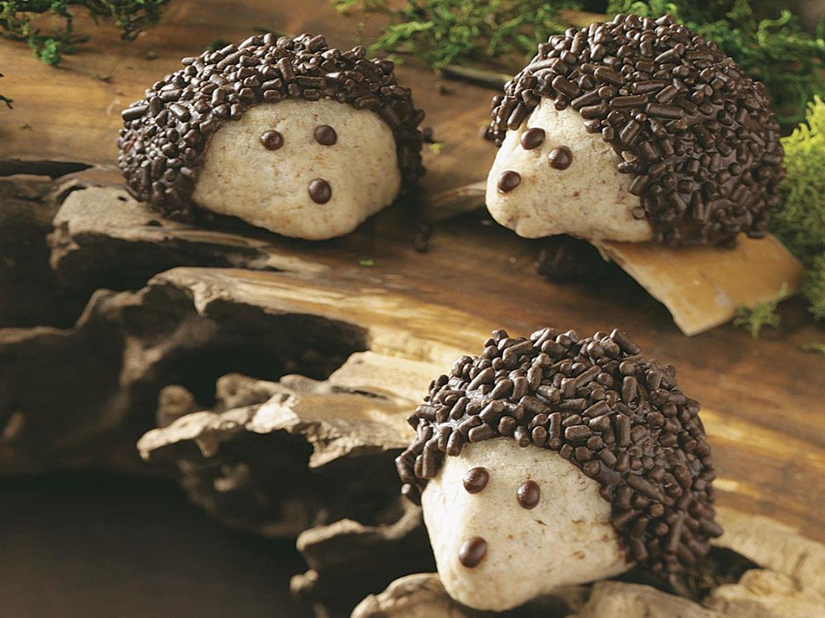 Detail Hedgehog Cheese Ball Pinterest Nomer 31