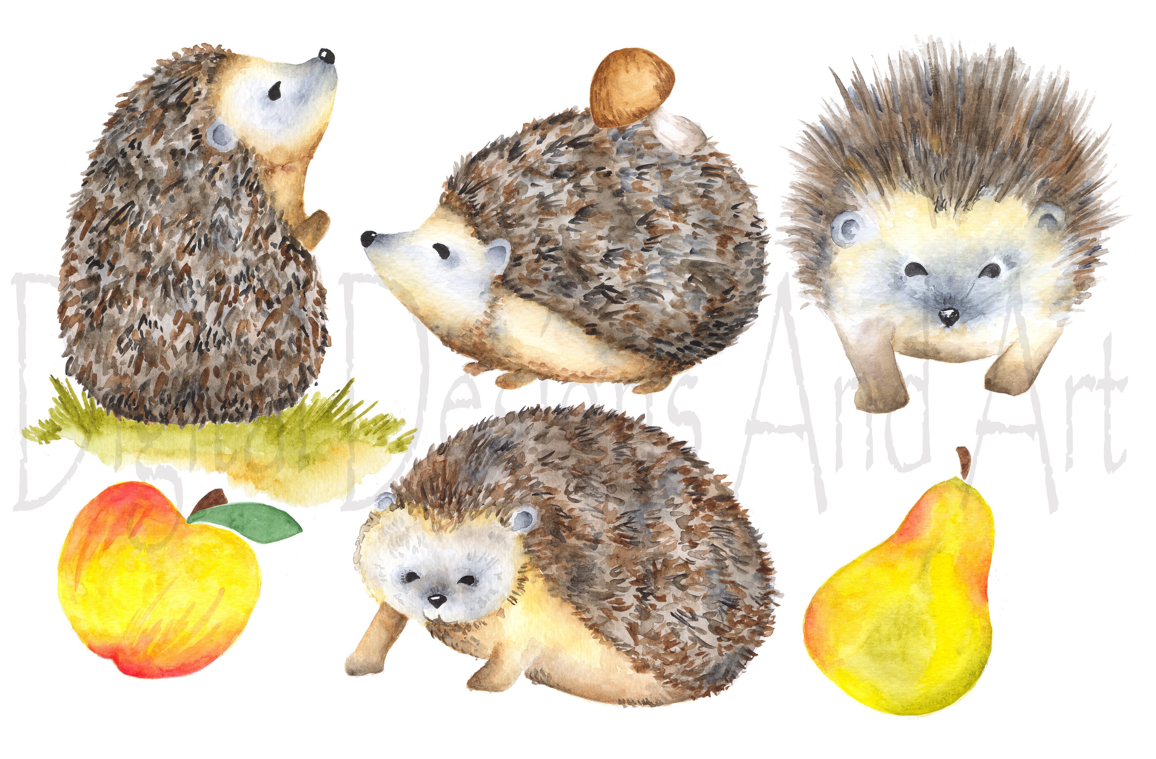 Detail Hedgehog Clipart Nomer 44