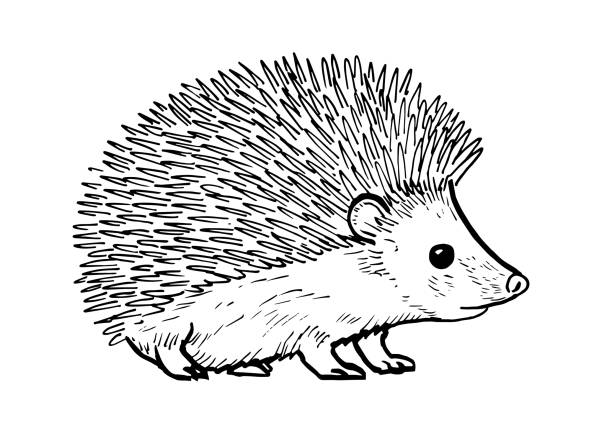 Detail Hedgehog Clipart Free Nomer 27