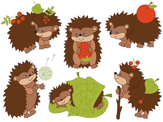 Detail Hedgehog Clipart Free Nomer 39