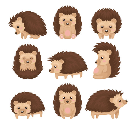 Detail Hedgehog Clipart Free Nomer 7