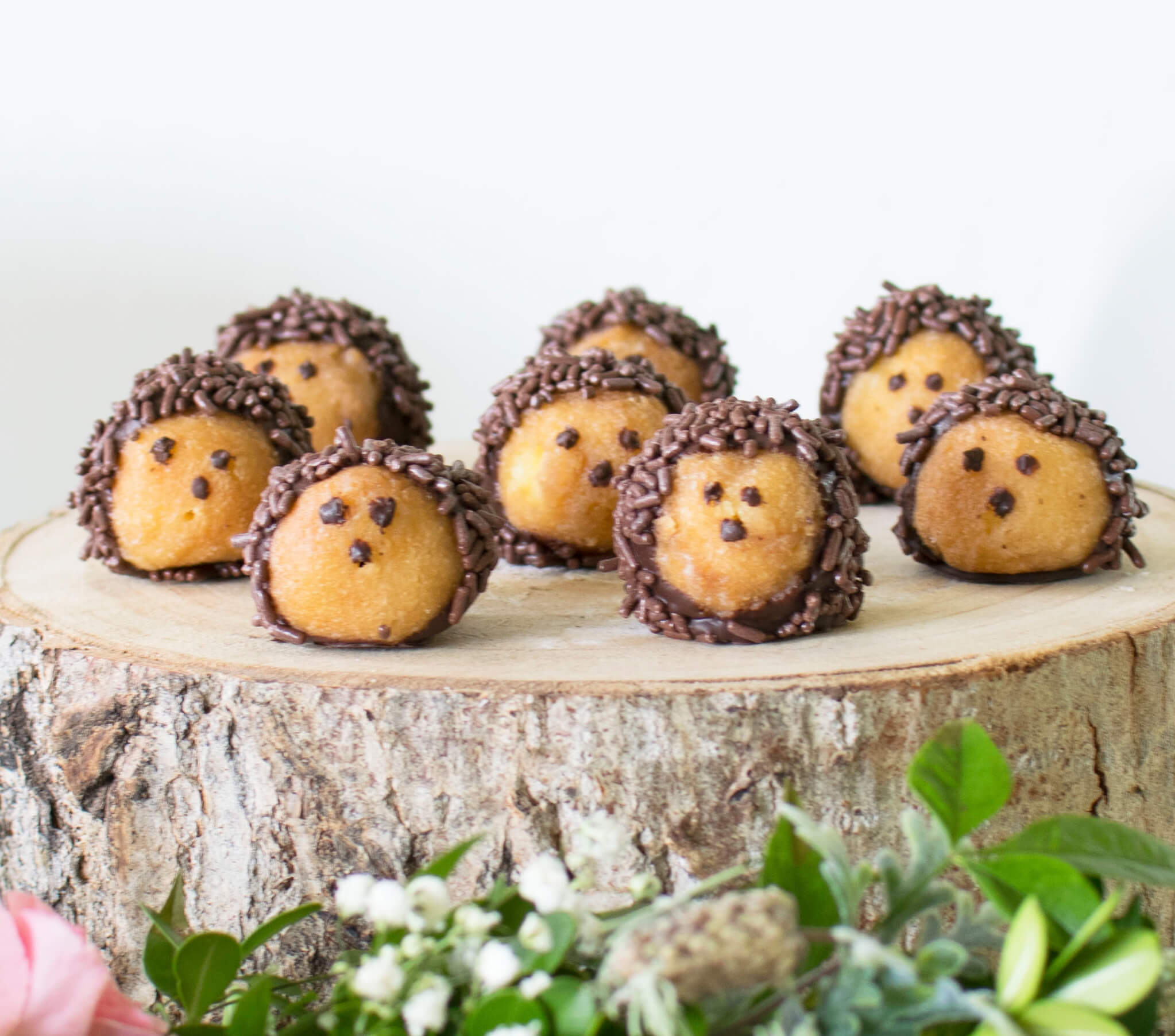 Detail Hedgehog Donut Holes Nomer 19