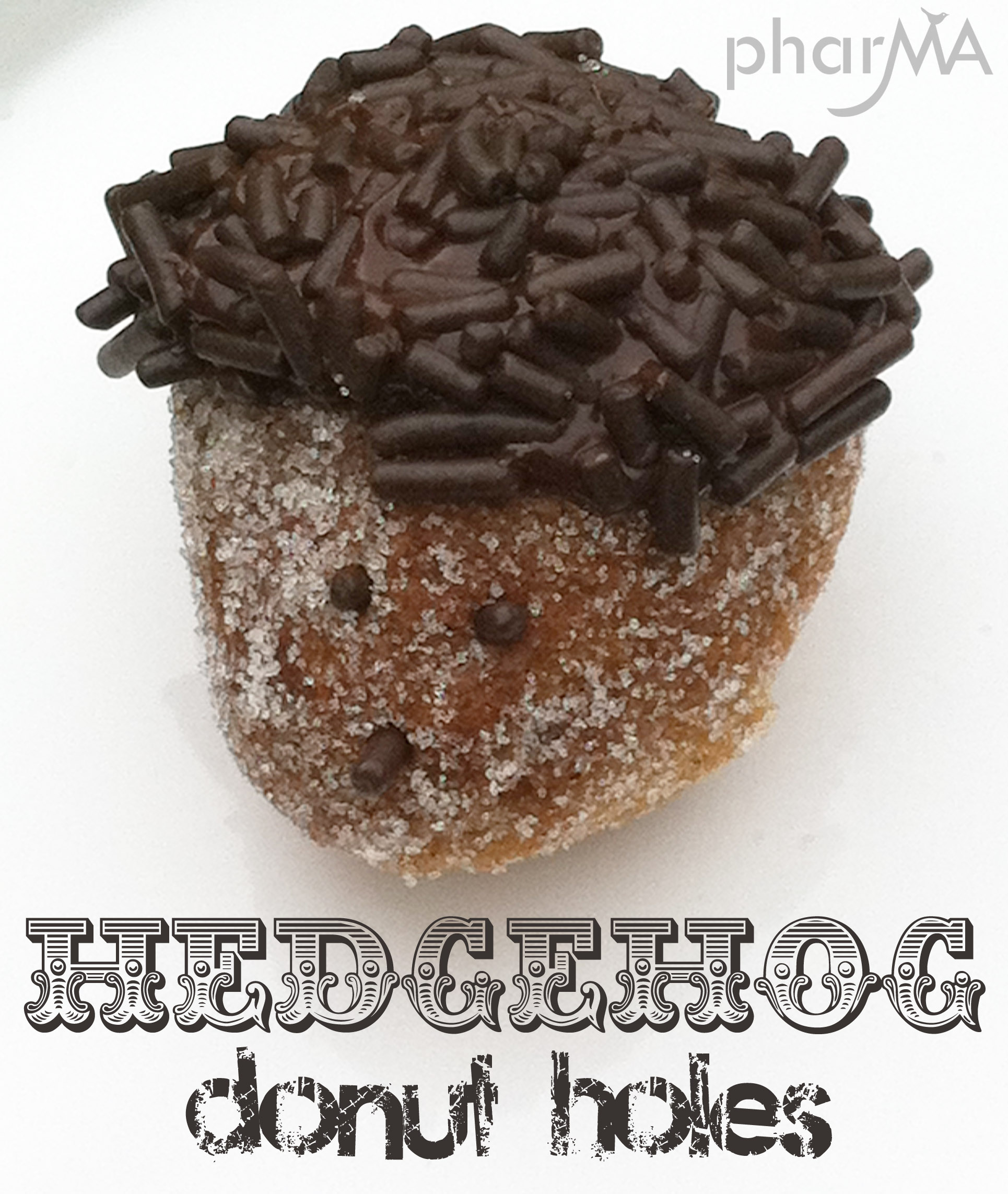 Detail Hedgehog Donut Holes Nomer 22