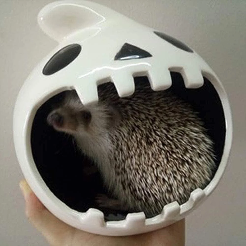 Detail Hedgehog Dust Bath Nomer 38