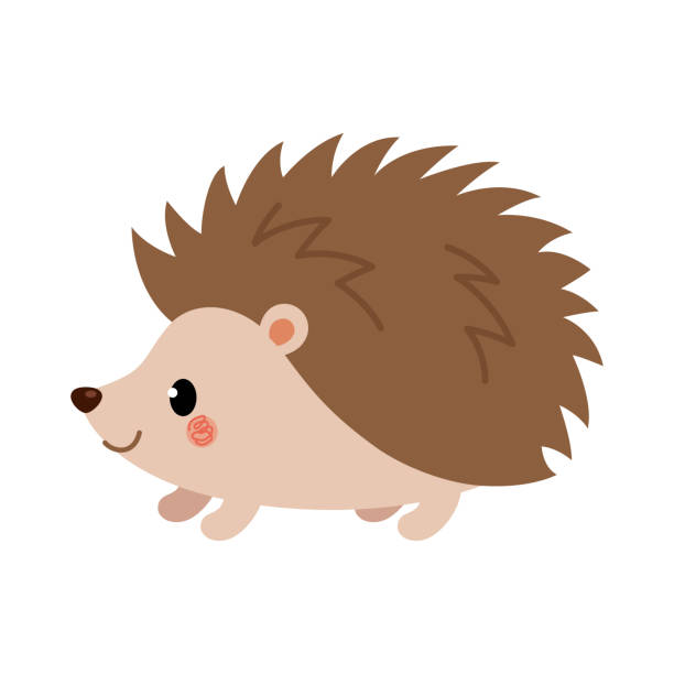 Detail Hedgehog Images Free Nomer 22