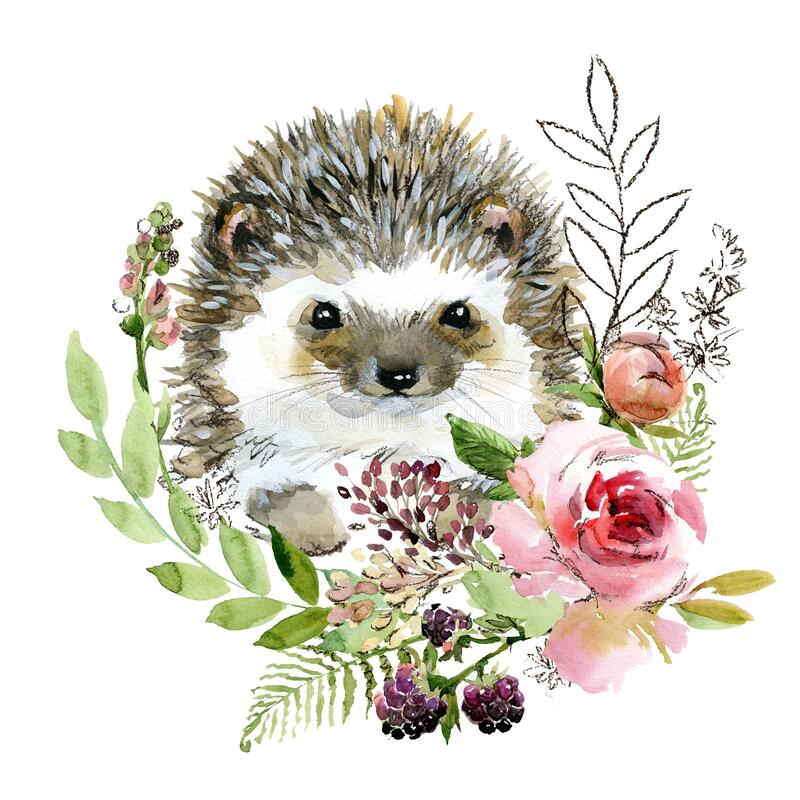 Detail Hedgehog Images Free Nomer 32