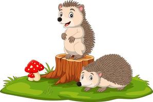 Detail Hedgehog Images Free Nomer 49