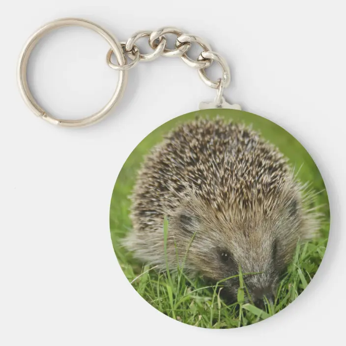 Detail Hedgehog Keychain Nomer 18