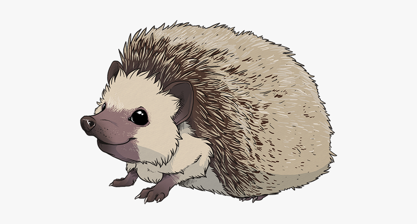 Detail Hedgehog Transparent Nomer 22