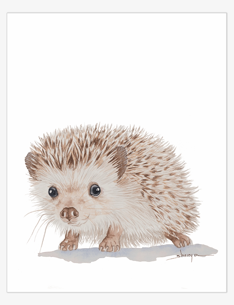 Detail Hedgehog Transparent Nomer 26