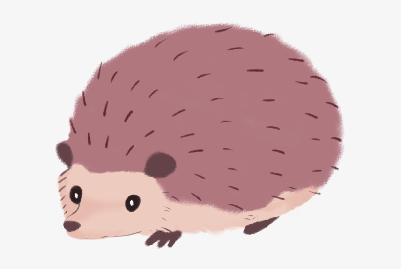 Detail Hedgehog Transparent Background Nomer 19