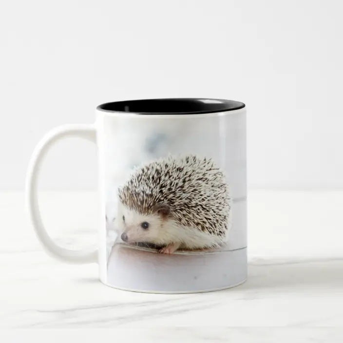 Detail Hedgehog Travel Mug Nomer 55