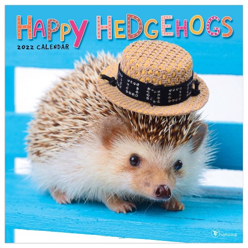 Detail Hedgehogs Pictures Nomer 7