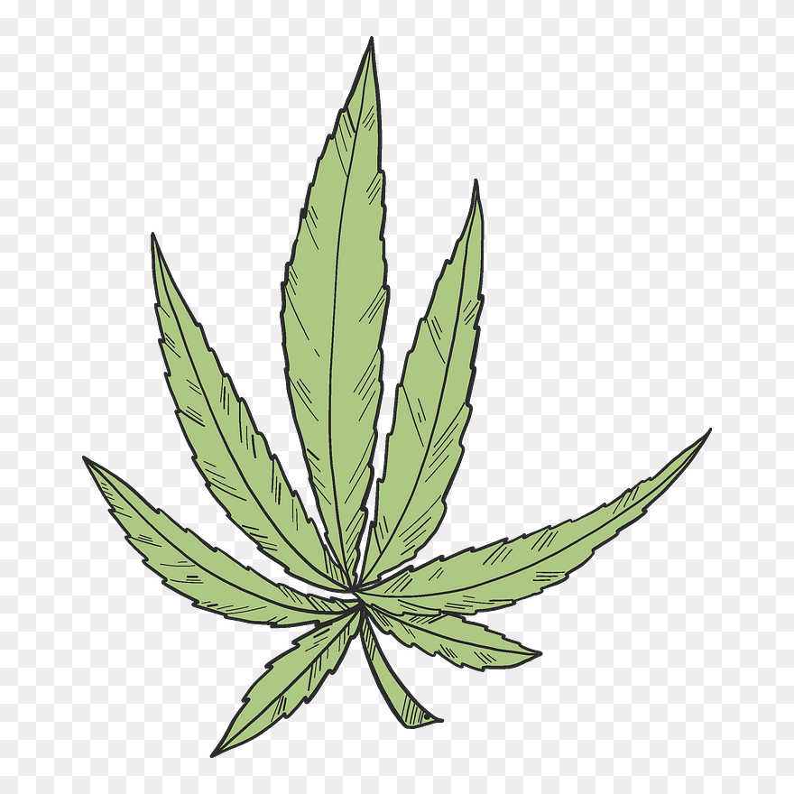 Detail Hemp Clipart Nomer 37