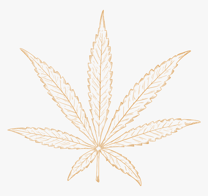 Download Hemp Leaf Png Nomer 33