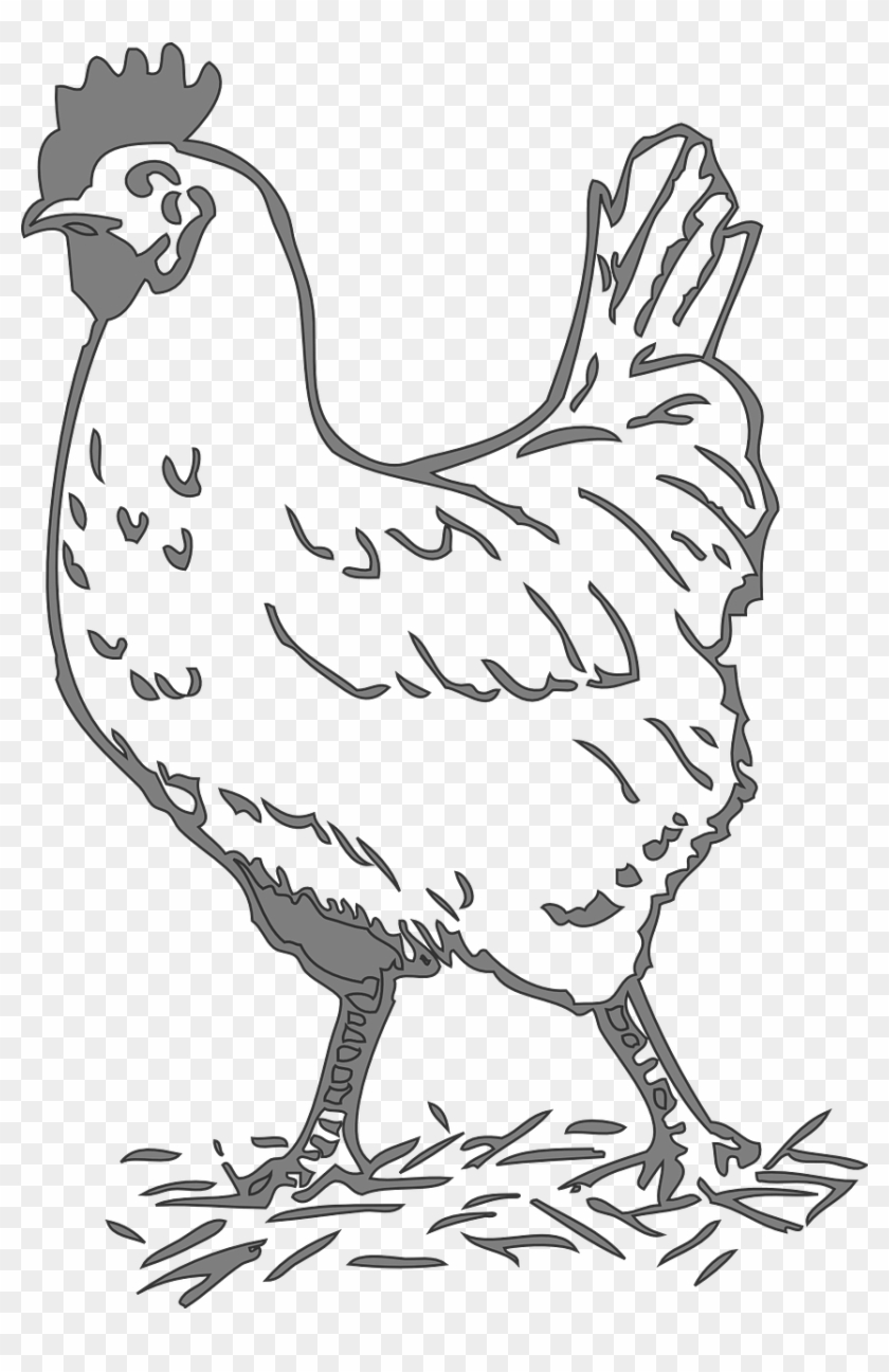 Detail Hen Png Nomer 51