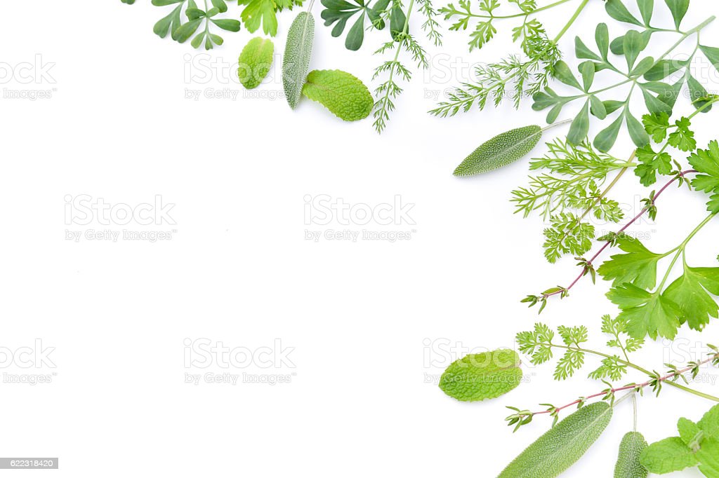 Detail Herbal Background Nomer 16
