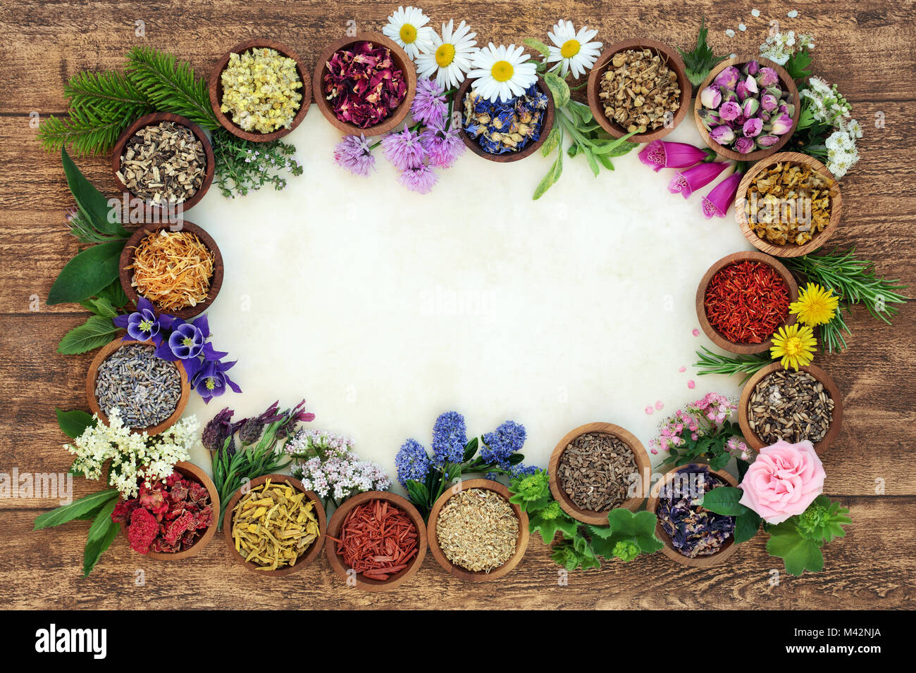 Detail Herbal Background Nomer 19