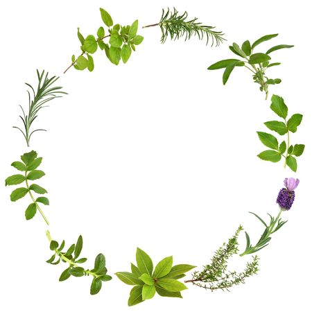 Detail Herbal Background Nomer 24