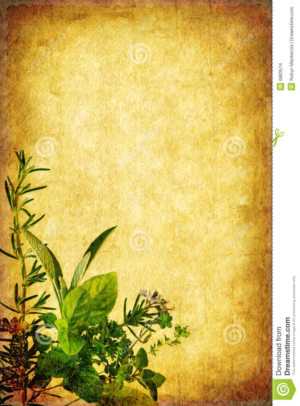 Detail Herbal Background Nomer 28