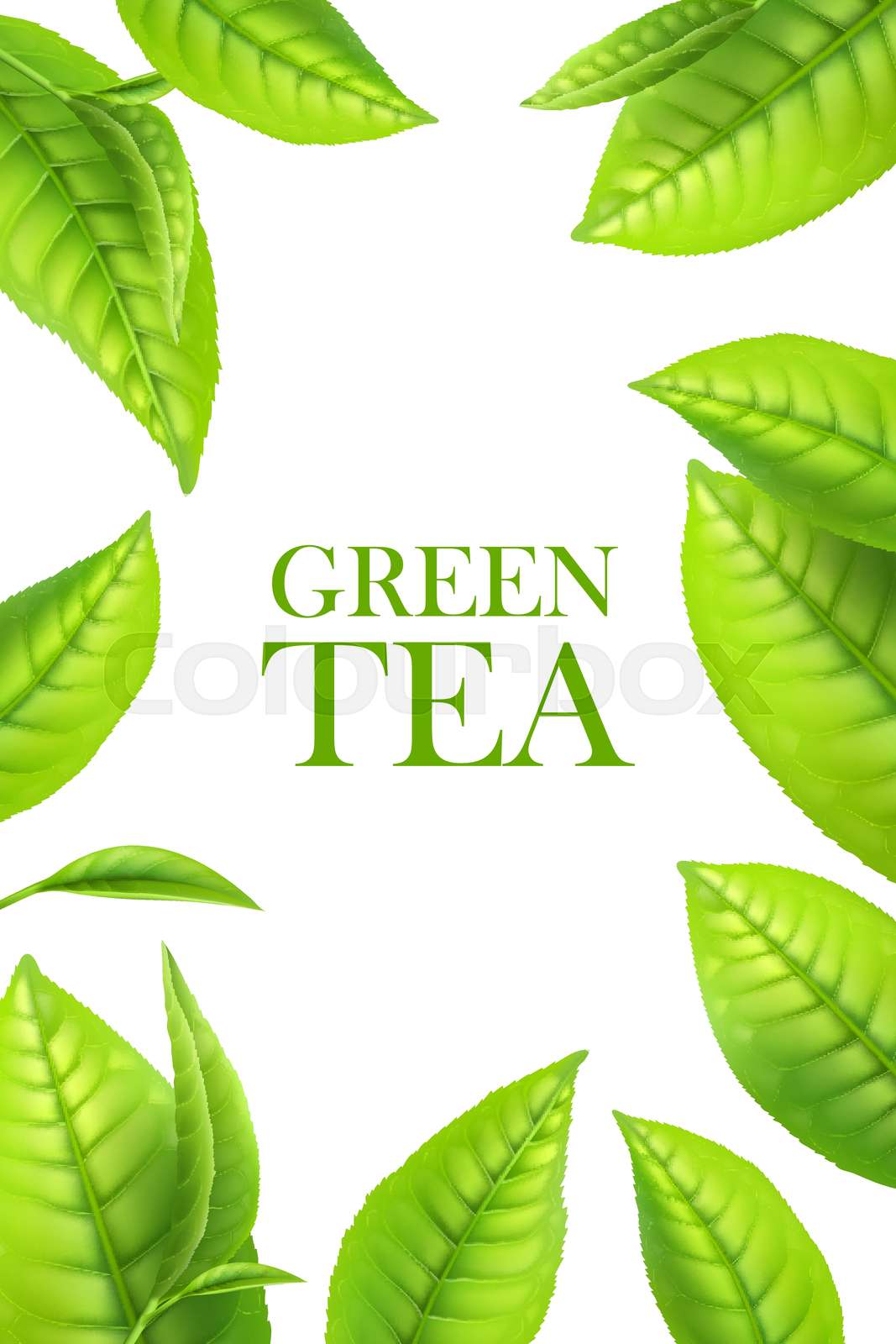 Detail Herbal Background Nomer 42