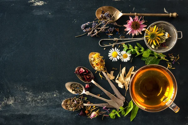Detail Herbal Background Nomer 47