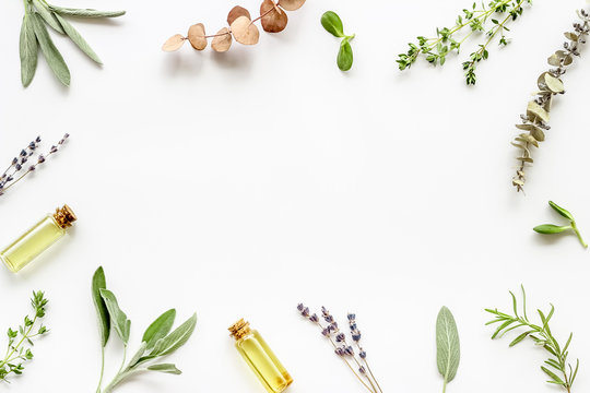 Detail Herbal Background Nomer 52