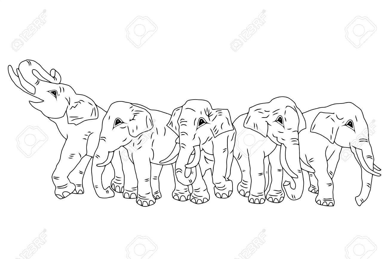 Detail Herd Of Elephants Clipart Nomer 19