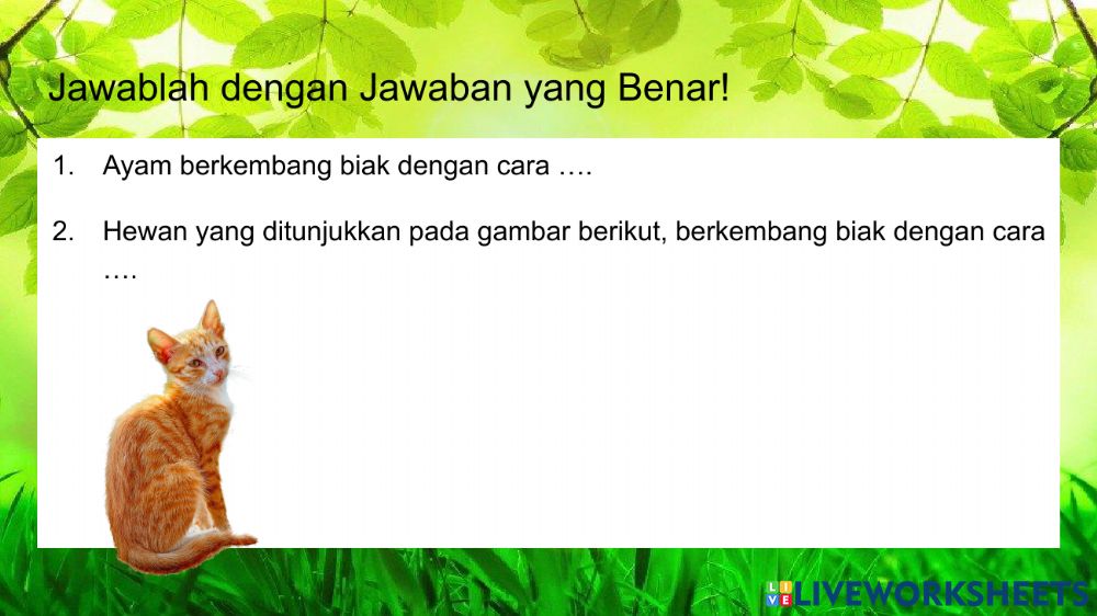 Detail Hewan Berkembang Biak Nomer 40