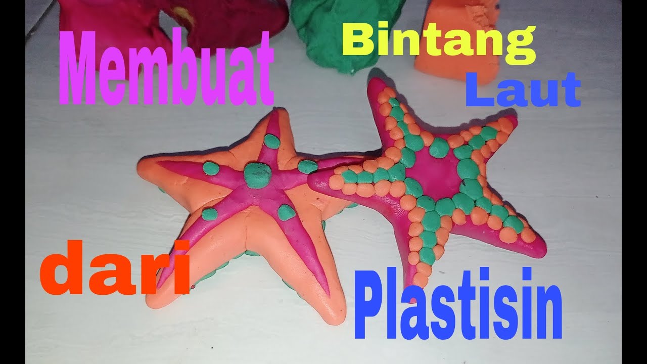 Detail Hewan Bintang Laut Nomer 51