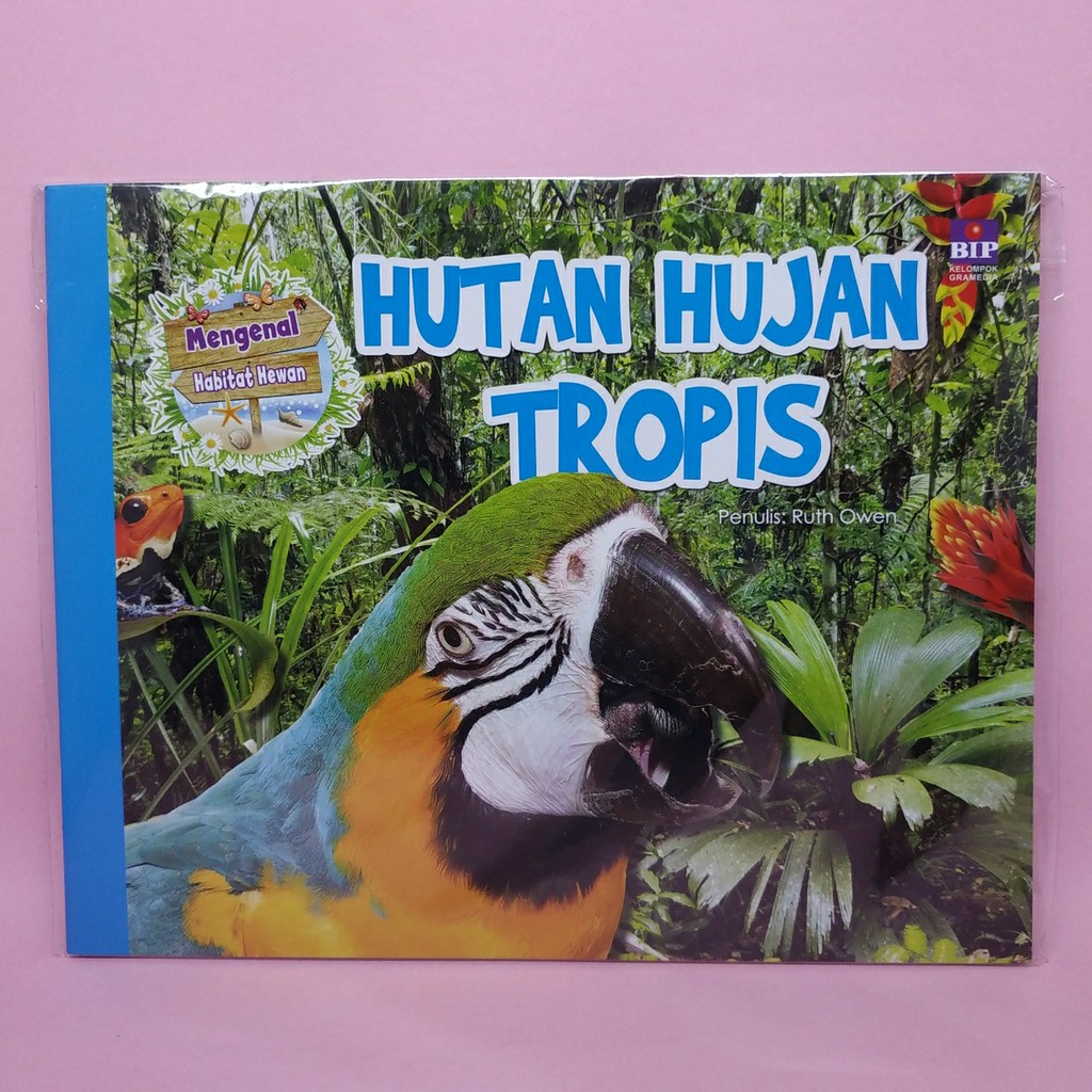 Detail Hewan Di Hutan Hujan Tropis Nomer 33