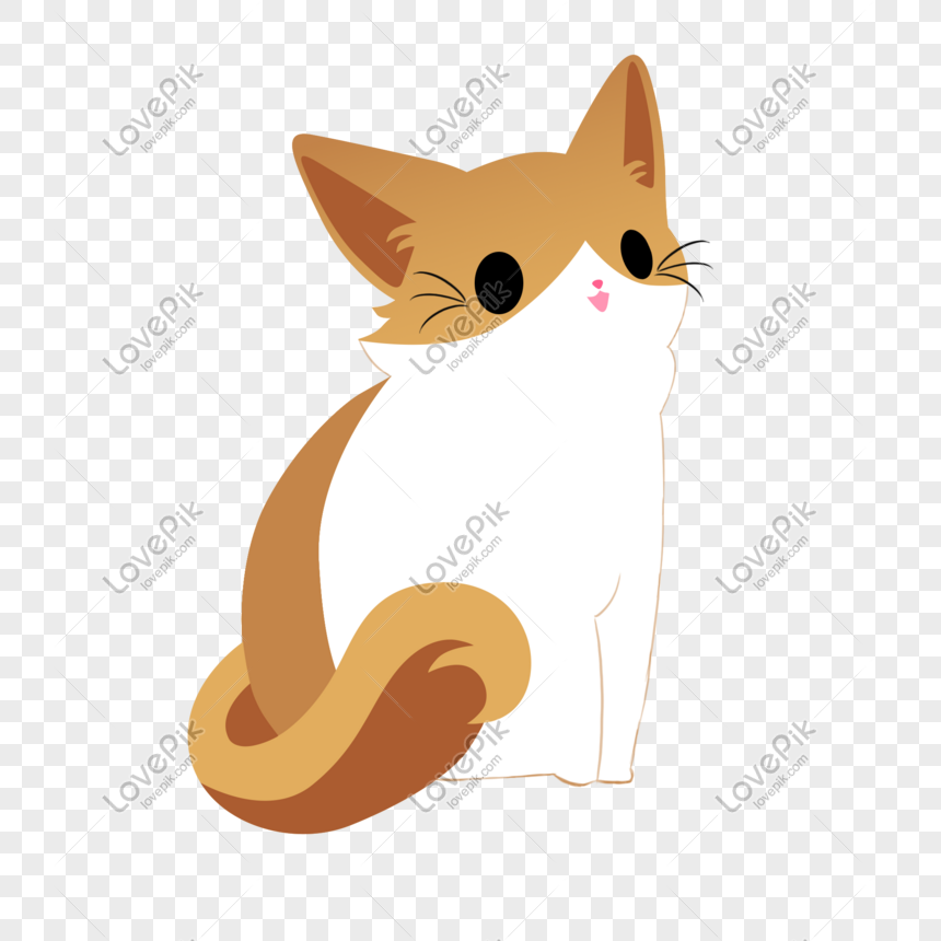Download Hewan Gambar Kucing Lucu Nomer 47