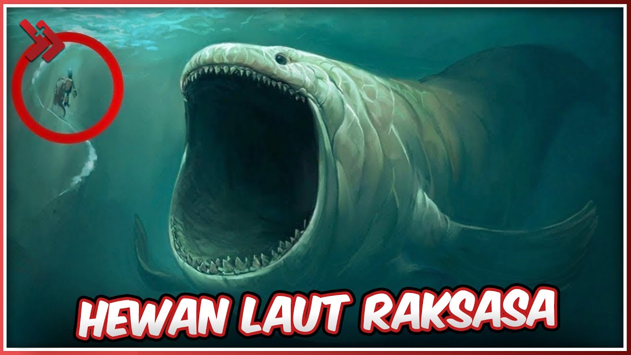 Detail Hewan Hewan Di Laut Nomer 40