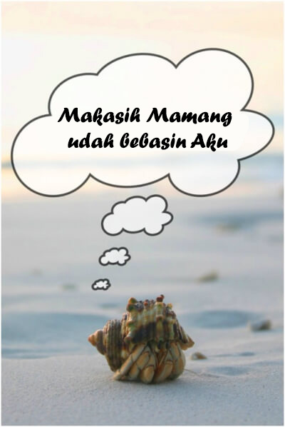 Detail Hewan Umang Umang Nomer 30
