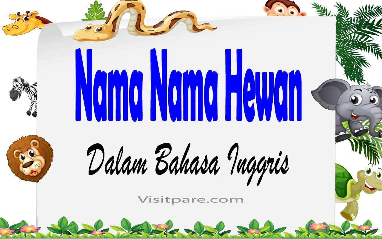 Detail Hewan Yang Berawalan Huruf D Nomer 34