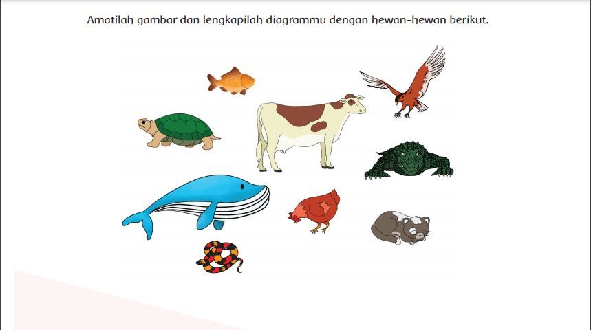 Detail Hewan Yang Berkembang Biak Nomer 22