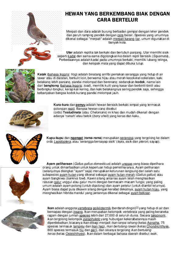 Detail Hewan Yang Berkembang Biak Nomer 35