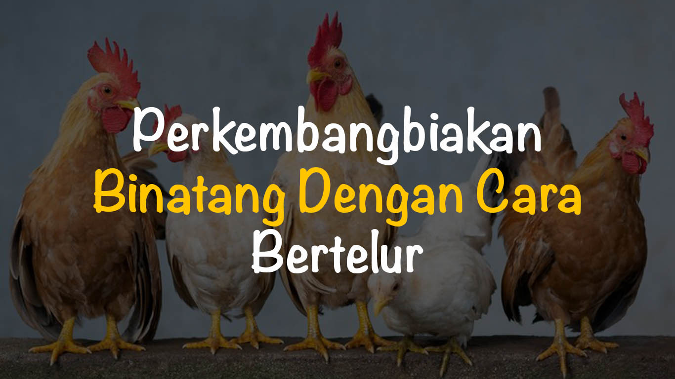 Detail Hewan Yang Berkembang Biak Nomer 41